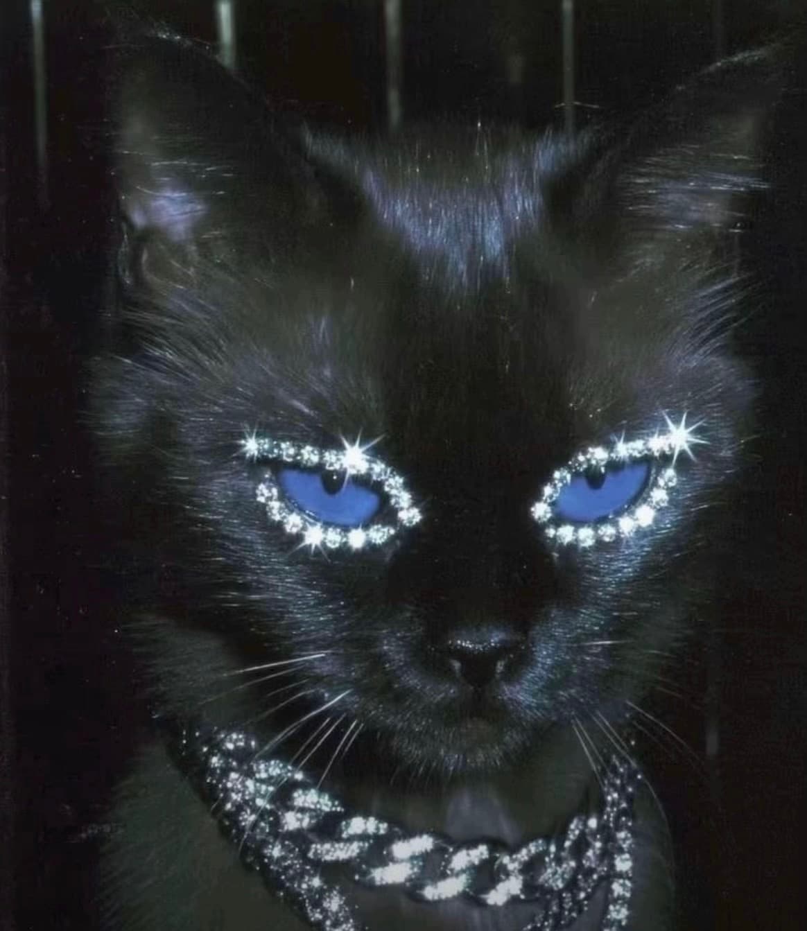 Avatar de Mia